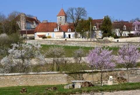 Couvreur Tronchoy